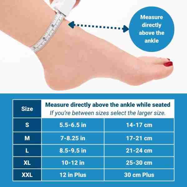 1722096214829-246_61TwSen4uAL.jpeg 19851320