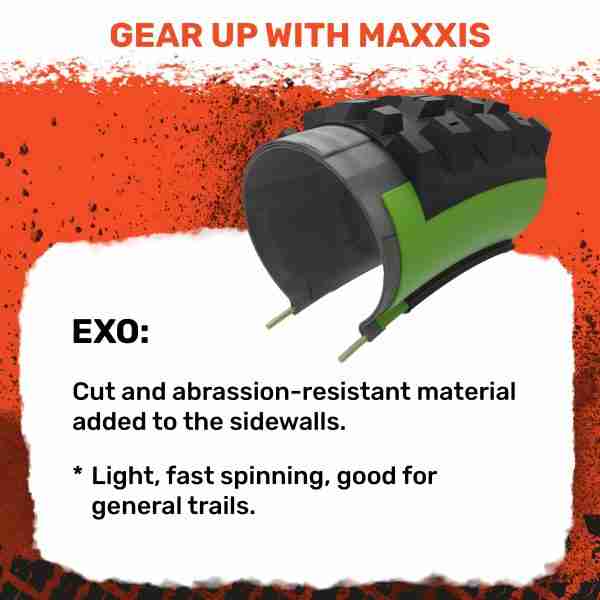 1705918676552-525_81m4JwzUjaL.jpeg 22617613