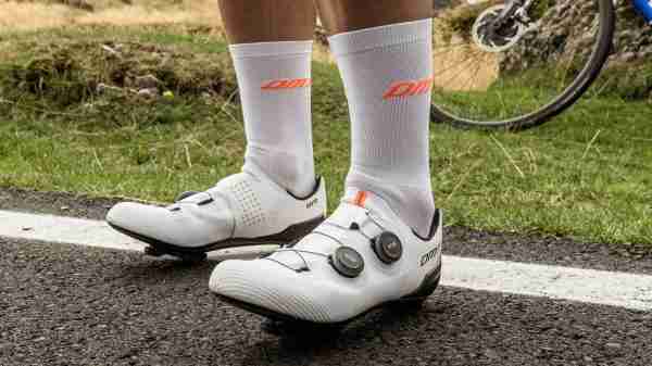 8059780048407-347_8059780048407_71-7TqlvnwL.jpeg 22630517