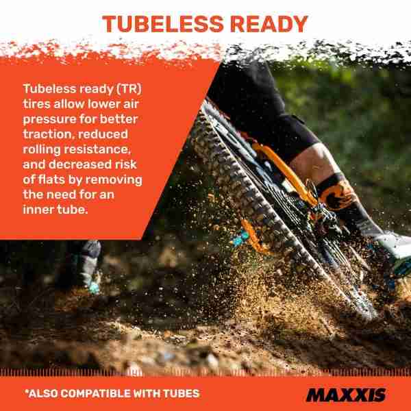 1705918676552-525_91gahp3q3ZL.jpeg 24358163