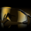 1741681335190-93_OAKLEY-VELO-KATO-MATTE-CARBON-PRIZM-24K_png.png 27091379