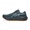 1011c129-300 Asics GT-2000 14 TR 1011C129