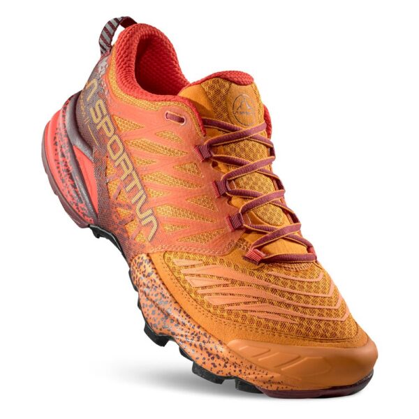 56A_6193CFCc3VL.jpeg 24358844