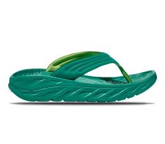 1099675_download_jpg.jpeg 24637901