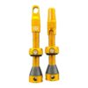 21839310