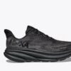 24595956
