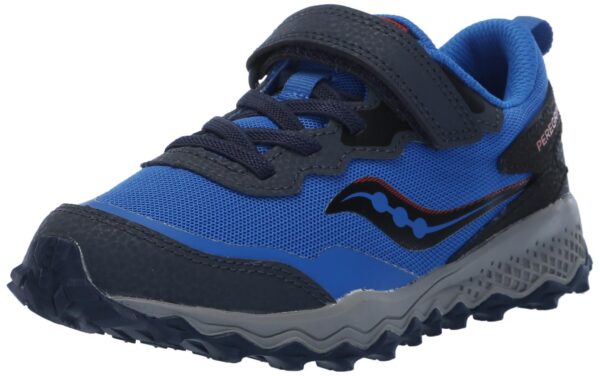 24614779