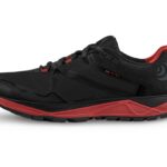 Topo MT3 M031