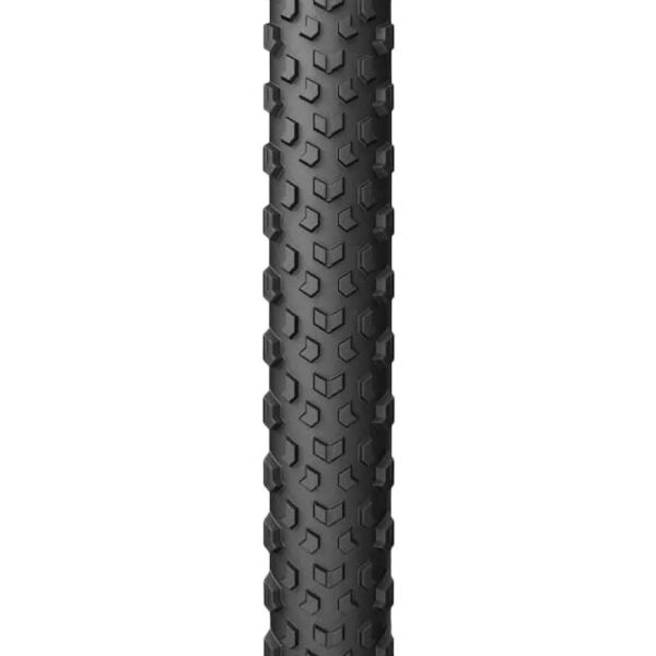 25696186